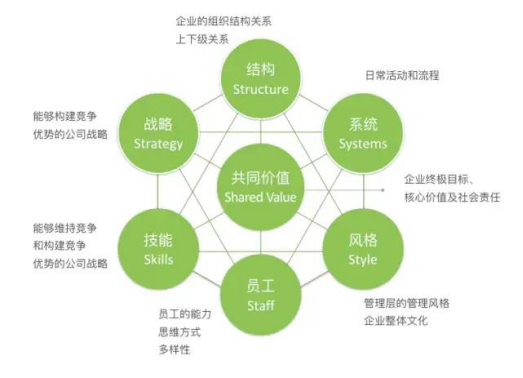 麦肯锡3.png