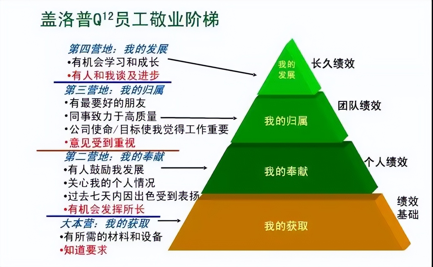 激活团队的最佳工具——盖洛普Q12测评(图2)