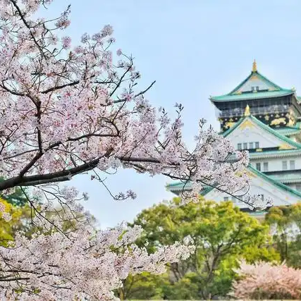 标杆游学3.png