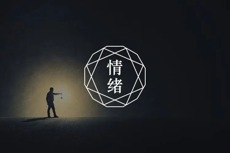 从「价格战」到「心智战」：2025年消费品行业「情绪价值」定价法(图3)