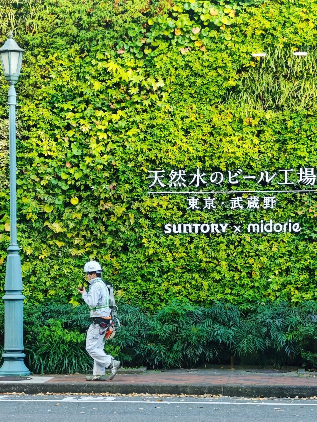 日本战略经营溯源：迪士尼与三得利的标杆游学之旅(图9)