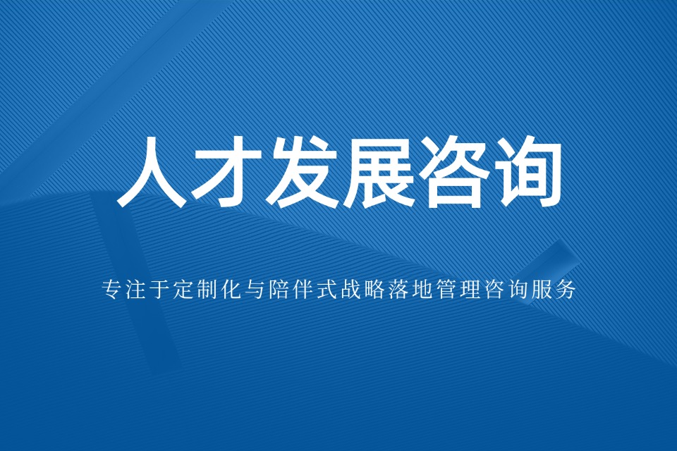 人才发展咨询
