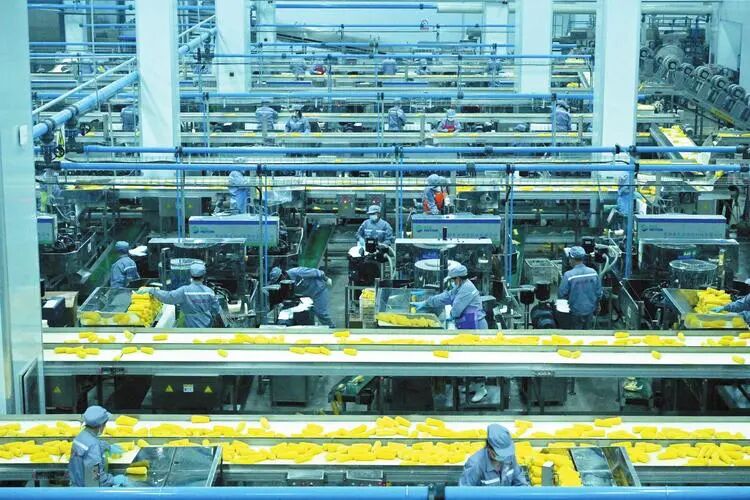 精益生产 精益生产