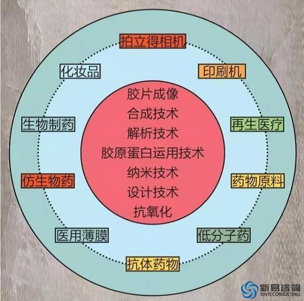 巨头的数字化转型——柯达破产，富士转型做化妆品(图2)